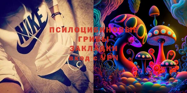 прущие грибы Алзамай